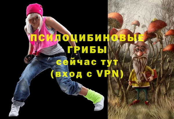 ГАЛЛЮЦИНОГЕННЫЕ ГРИБЫ Белокуриха