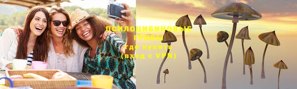 ПСИЛОЦИБИНОВЫЕ ГРИБЫ Белоозёрский
