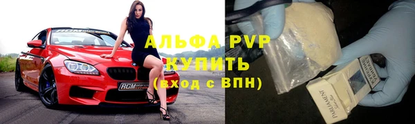 ГАЛЛЮЦИНОГЕННЫЕ ГРИБЫ Белокуриха