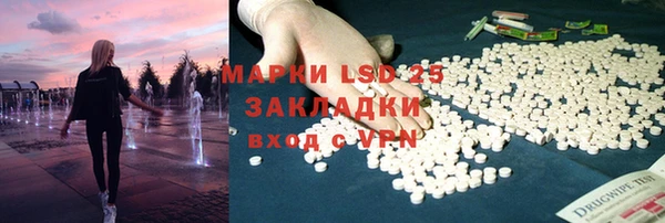 ГАЛЛЮЦИНОГЕННЫЕ ГРИБЫ Белокуриха