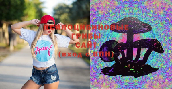 ГАЛЛЮЦИНОГЕННЫЕ ГРИБЫ Белокуриха