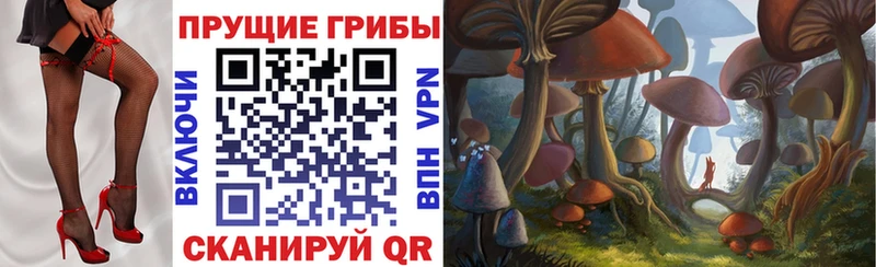 Купить закладки  Гороховец  Псилоцибиновые грибы мицелий 